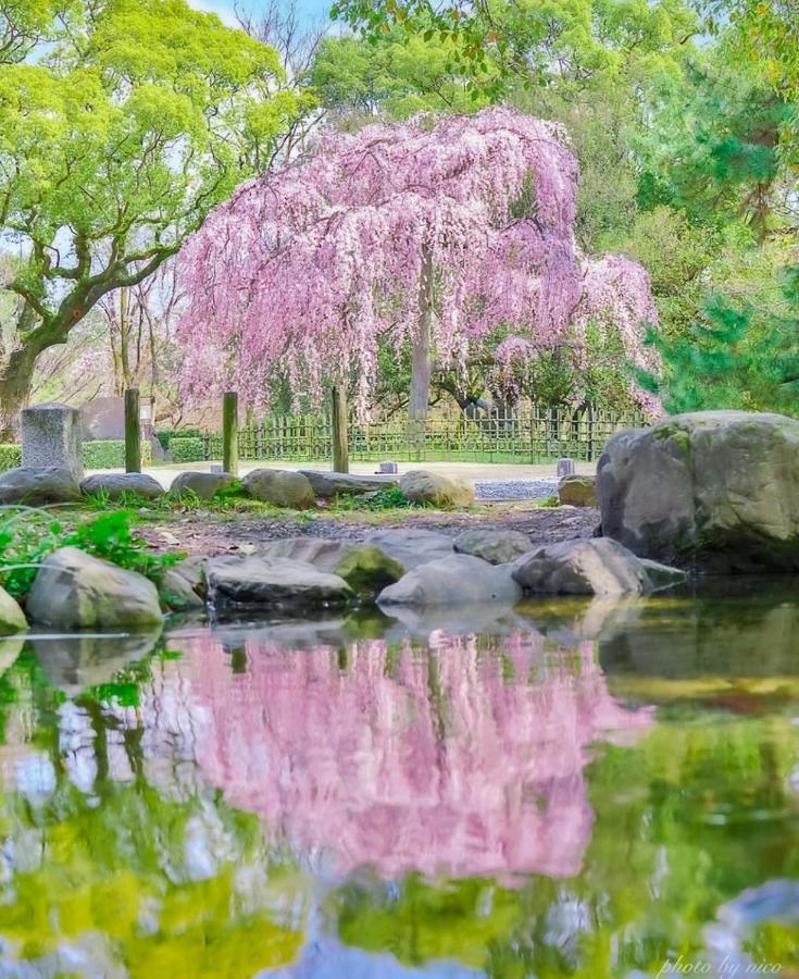 Vila Tsurui Goshonishi 鶴居御所西 Kjóto Exteriér fotografie